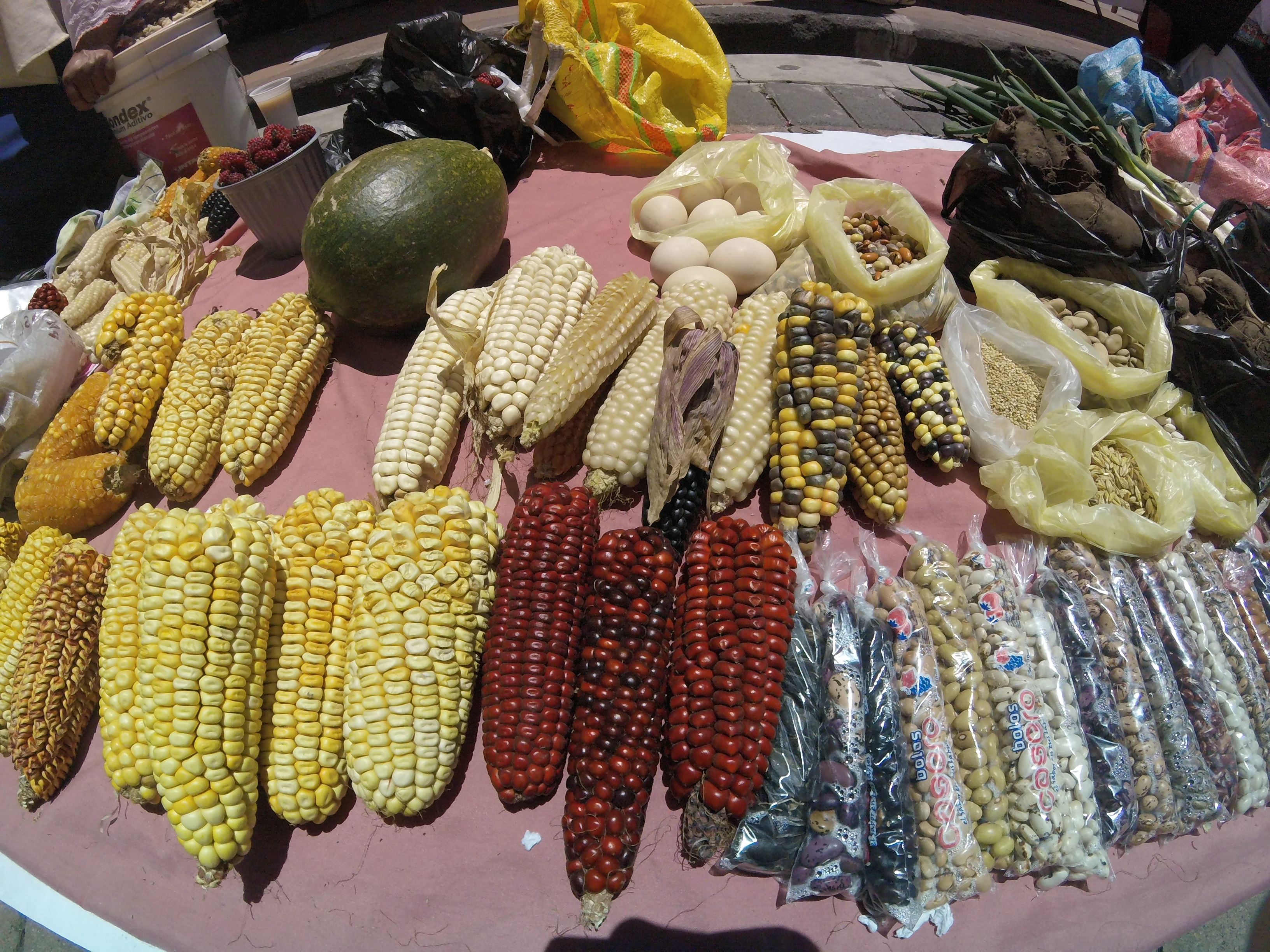 Main basse sur les terres